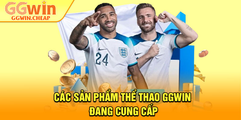 Thể Thao GGWin – Sân Chơi Cá Độ Xanh Chín Nhất Thị Trường 3 Các sản phẩm thể thao GGWin đang cung cấp