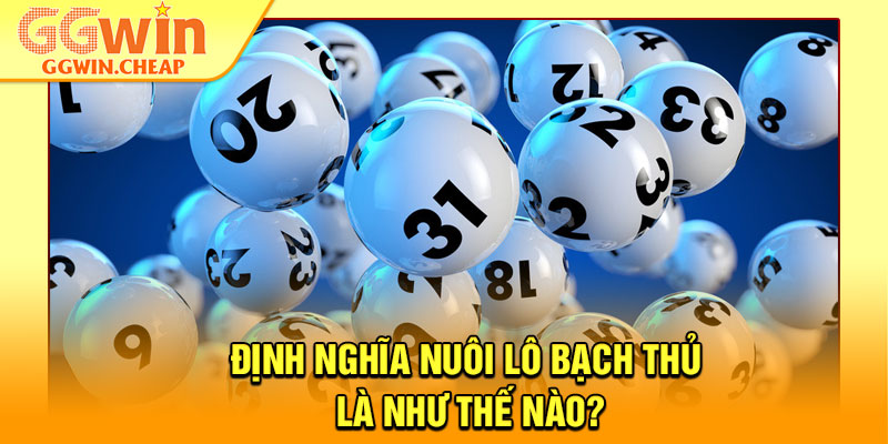 Nuôi Lô Bạch Thủ - Chiến Thuật Nuôi Số An Toàn, Sinh Lời Cao 2 Định nghĩa nuôi lô bạch thủ là như thế nào?