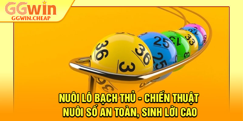 Nuôi Lô Bạch Thủ - Chiến Thuật Nuôi Số An Toàn, Sinh Lời Cao 1 Nuôi Lô Bạch Thủ - Chiến Thuật Nuôi Số An Toàn, Sinh Lời Cao